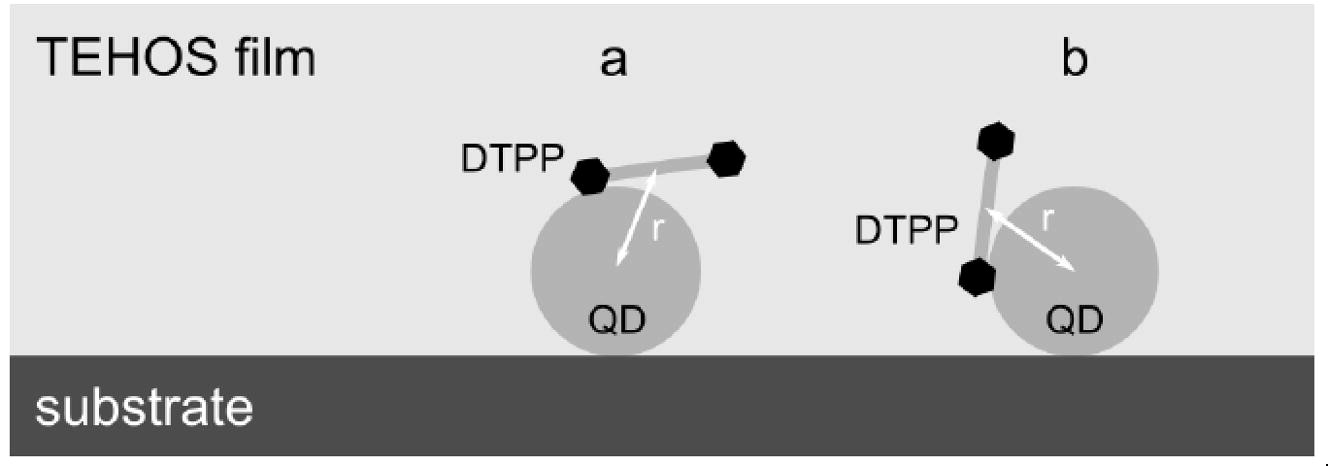 Qdot-dye assemblies in TEHOS