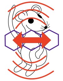 BioPolIm-Logo