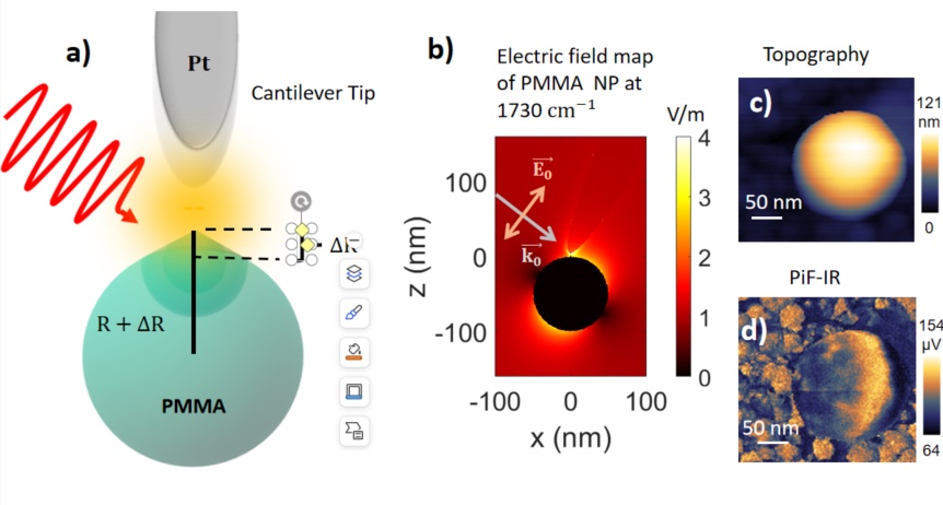 PiF-IR on spherical NP, TOC Graphics JPPC2025 doi:10.1021/acs.jpcc.4c08305 